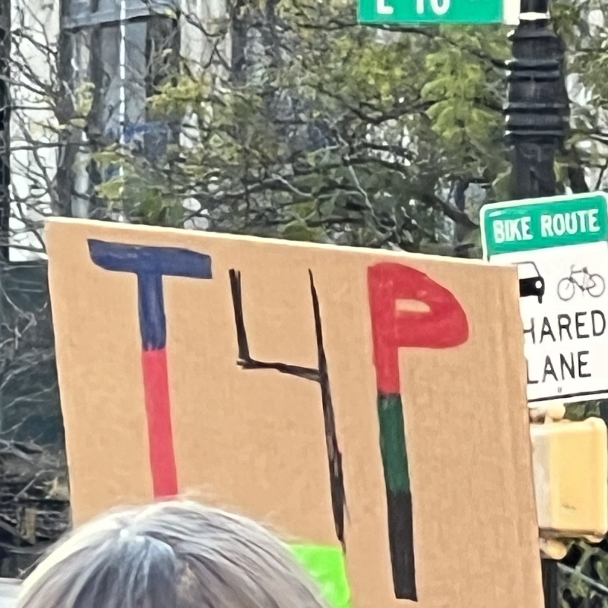 Some of my favorite Queers for Palestine rally signs