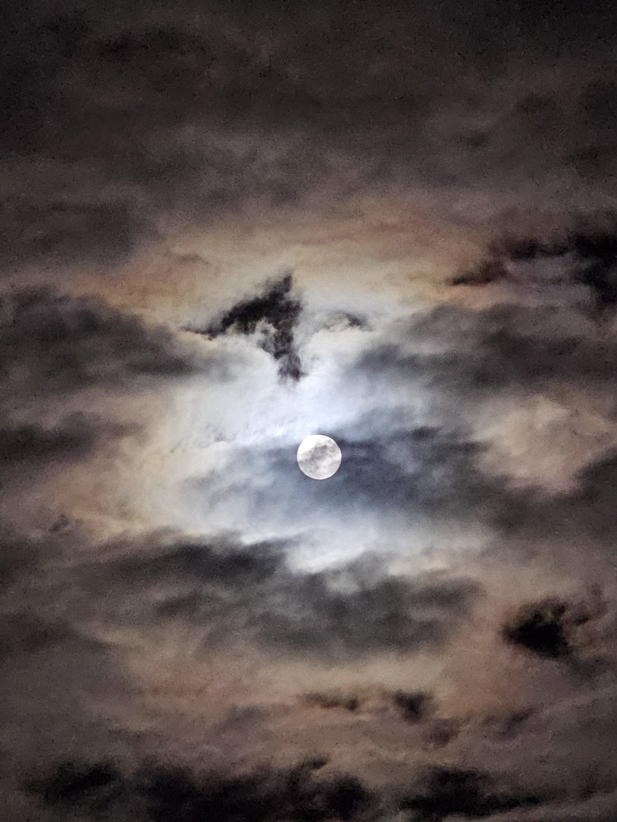 Barbaboe's tweet photo. Roter Lichtkreis heute Abend um den 'fast' Vollmond. 

Nach altem Volksglauben soll diese Erscheinung Frieden und Glück bringen. https://t.co/80cMvrIdLO