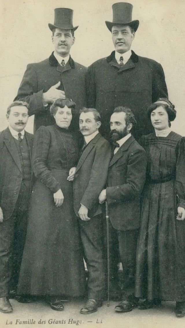 VOCESCOMEMMERDA's tweet photo. @cswarketatora I didnt see the video, but not only did giants exist before they also exist now, specially in the 19/20th century.. And almost all of them had one thing in common.. https://t.co/tvZDl4jCpm