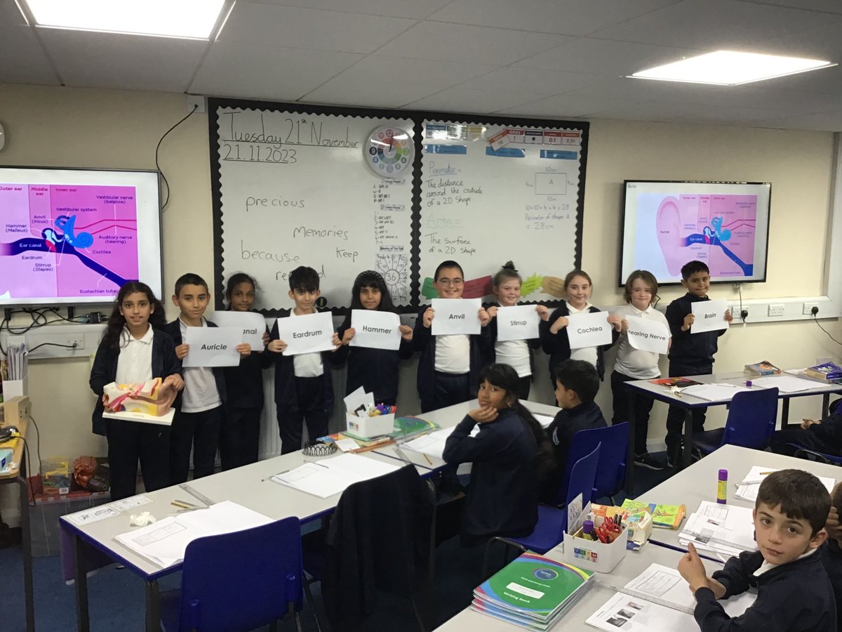 Y4stsilasREMAT's tweet photo. In Science this week, we have been looking at the journey of sound through the ear! We looked at all the key structures of the ear and worked together to order them correctly! π #SilasScience #ProblemSolving https://t.co/h9d5W0EW6g
