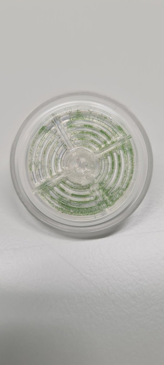 Ben Surridge tweet media