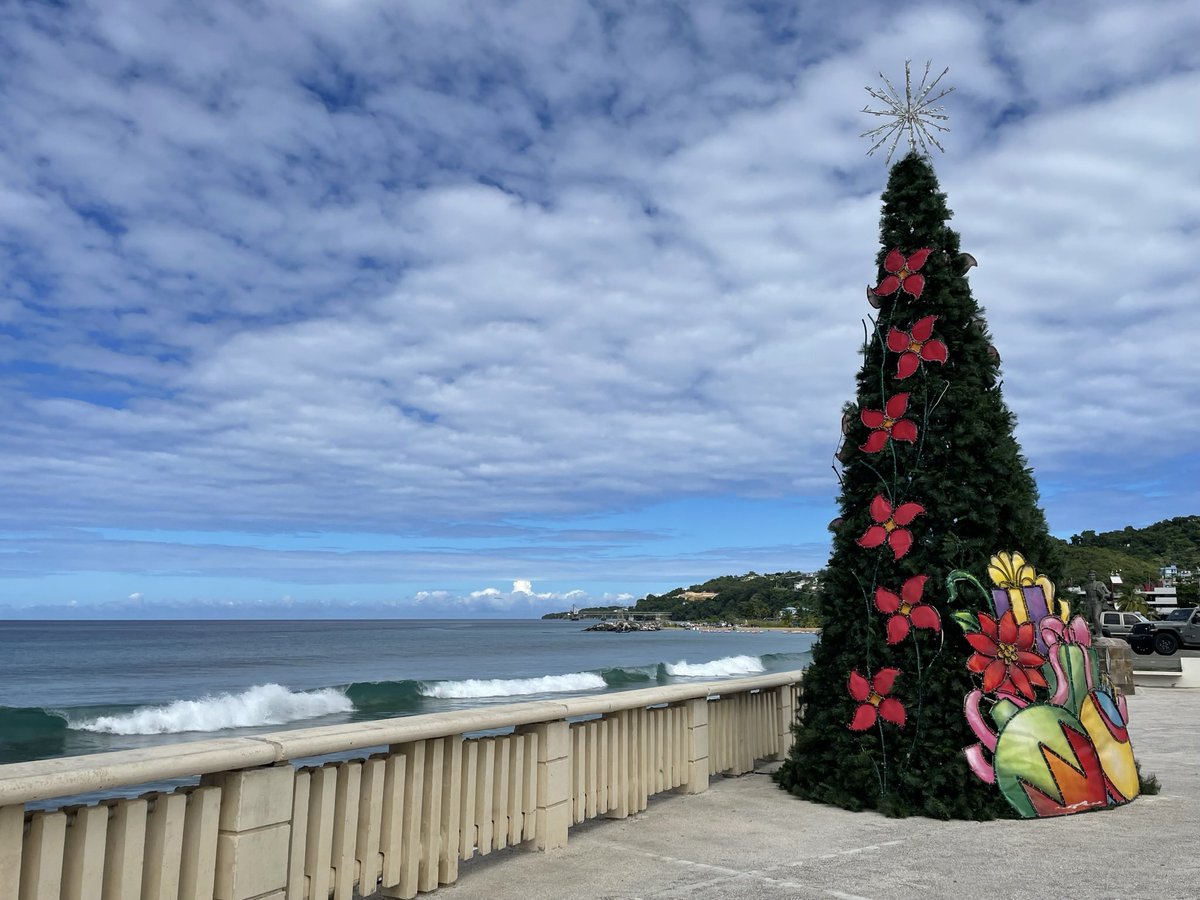 Dra. Michelle Visbal 🇵🇷 tweet media