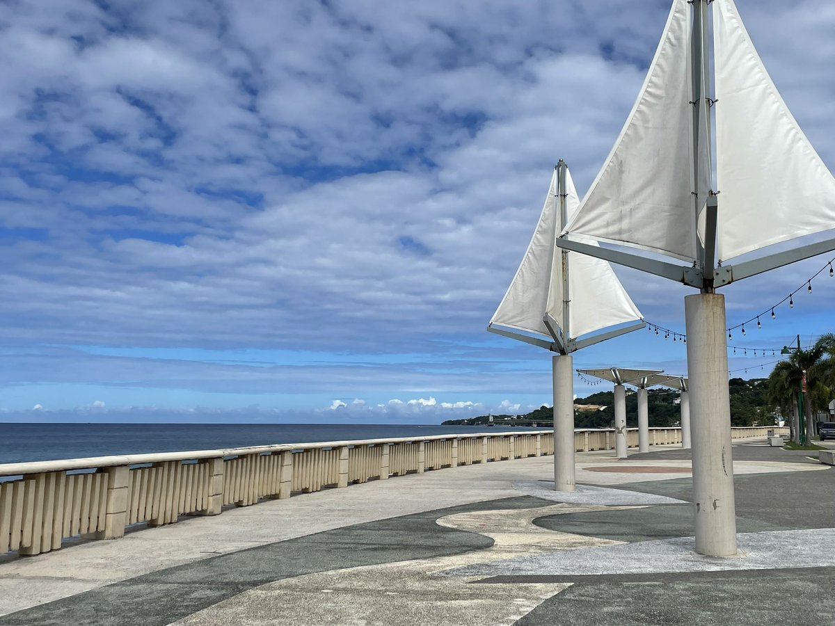 Dra. Michelle Visbal 🇵🇷 tweet media