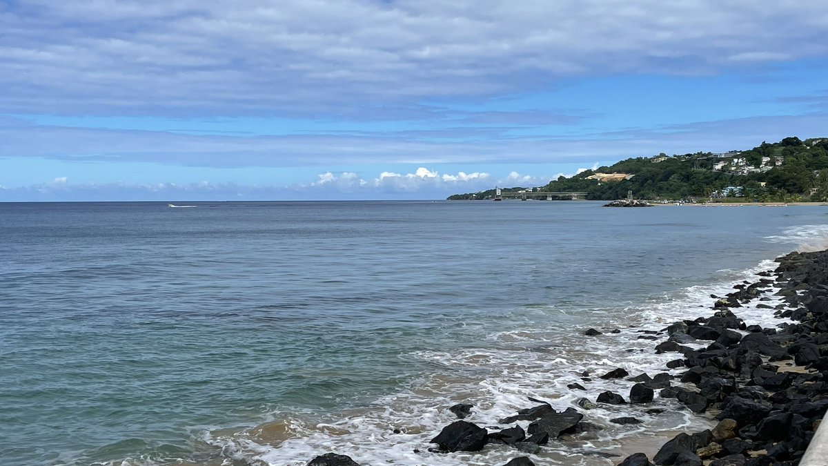 Dra. Michelle Visbal 🇵🇷 tweet media