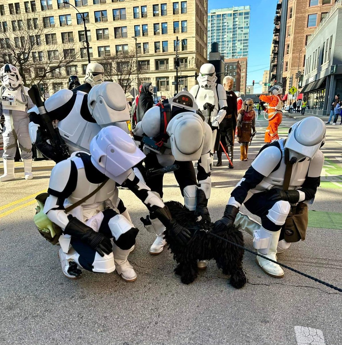 Midwest Garrison tweet media