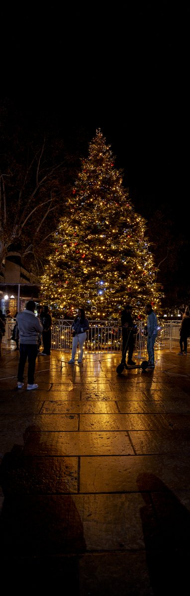 📷Le sapin de Noël illuminé sur la place de la Comédie à Montpellier🎄

#photo #photography #street #cityscape #Noel #Christmas #reflet #reflection #vertorama #panorama #PanoPhotos