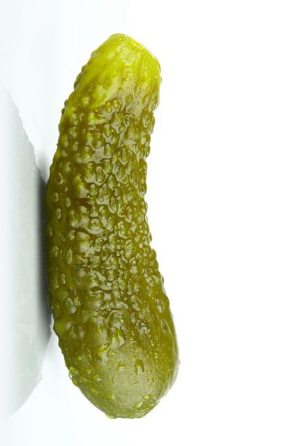 Why Cardi say she was built like a pickle. I’m crying 😭😭