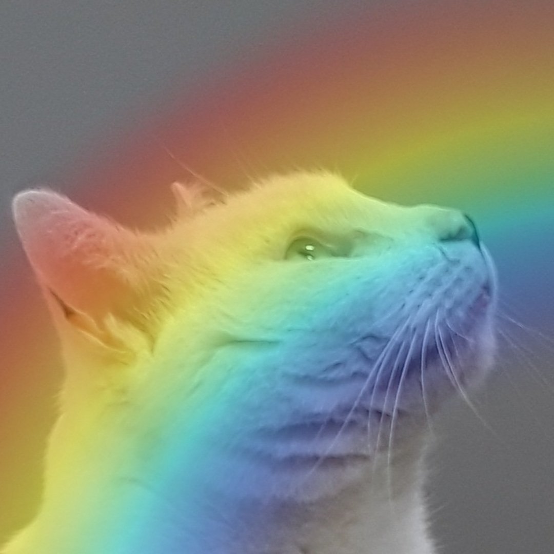 LisaCla29002177's tweet photo. @MillieMall @Smooshface31 Hi Millie and Mum In honour of #Smoosh and all our friends OTRB we miss and love you 😪😪😪❤❤❤My angel miss you so much 😪 https://t.co/rp3UCEue7t