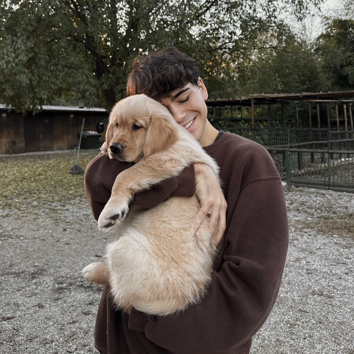 spnlnv's tweet photo. date il benvenuto alla mia piccola Ariel 🐾🤎🐚 https://t.co/J46V1Kehk6