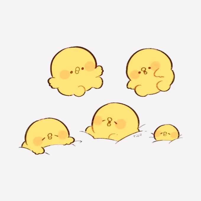   #きみピヨ