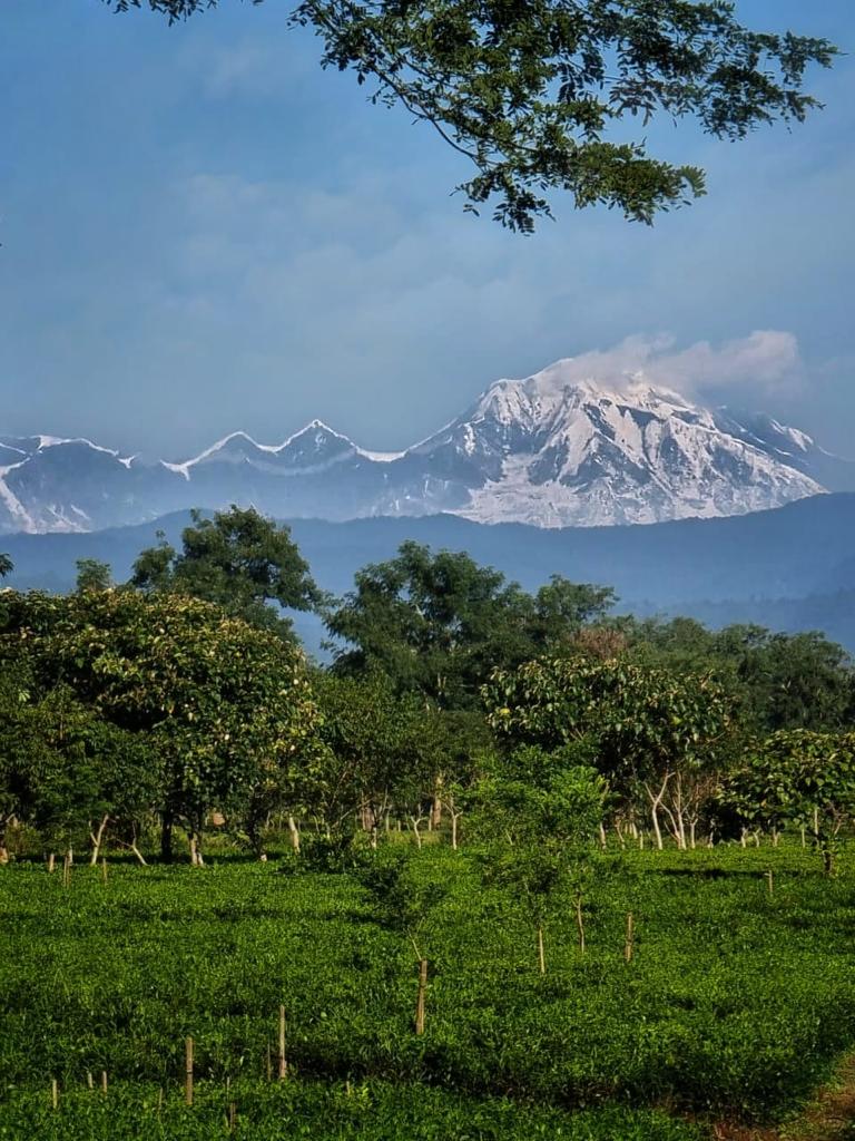 What began with few friends organizing a folk event in a rustic environment, mixing spice of camping n embracing nature amidst a tea garden with mountain overlooking it, has blossomed into #folkTeaFestival over the past 3 years under the aegis of  ntfghy.org (1/10)