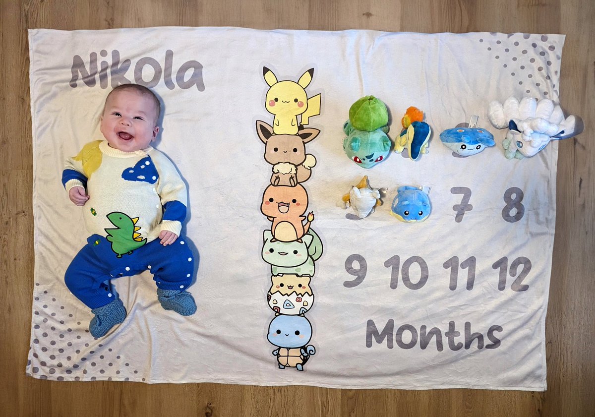 Awesomocity0's tweet image. Six month old mini @DutchjRTA 🥹🥹🥹