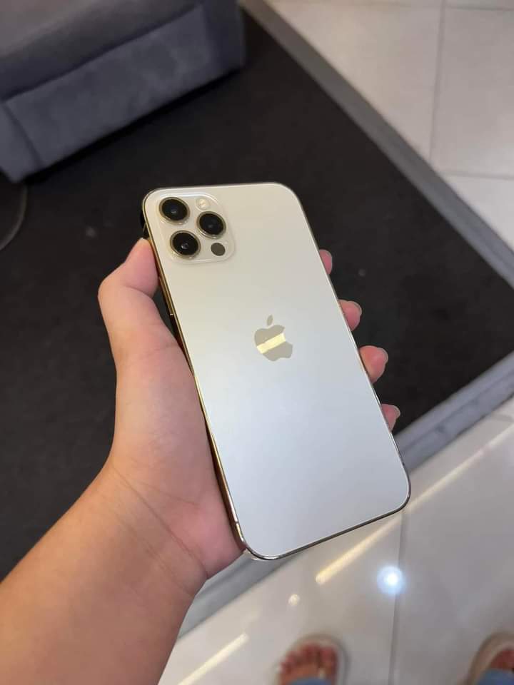 lomlcart's tweet photo. wts lfb ph

✶ iphone 12 pro 128gb
♡ gold

💸 35, 500

— factory unlocked (any sim)
— no issue
— no history of repair
— 85% battery health 
— truetone and face id working
— ntc approved

dm for inquiries! https://t.co/d8KZc5Ilz0