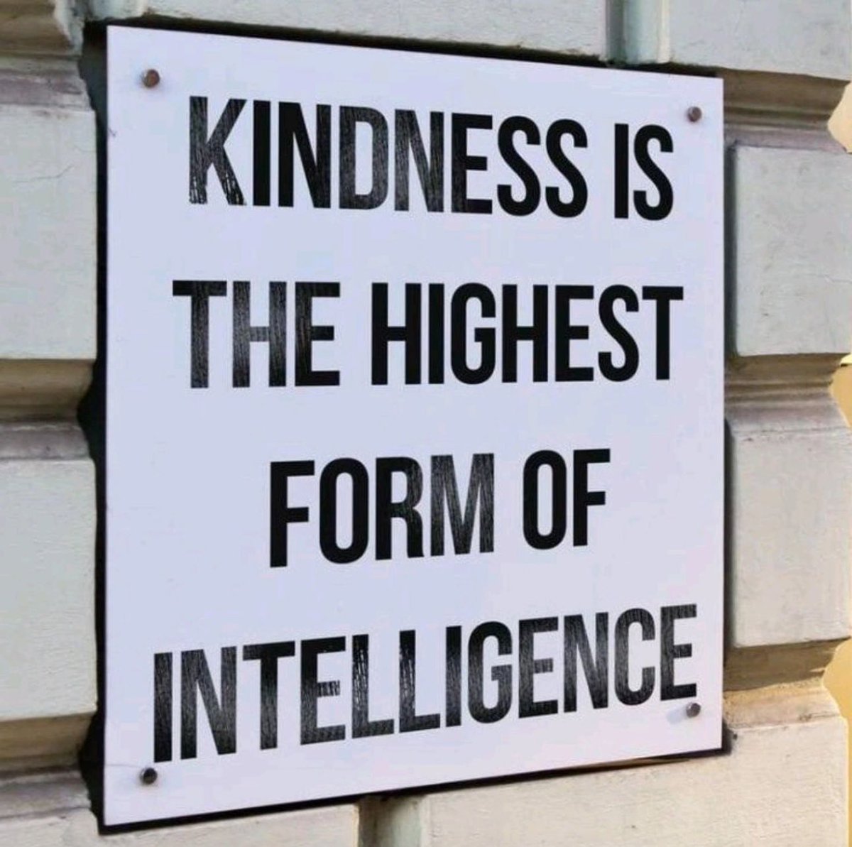 Kindness is the highest form of intelligence.
#kindness #intelligence #highestformofintelligence