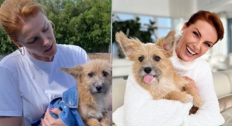 ZAMENZA's tweet photo. O cachorro da Ana Hickmann que a defendeu da agressão daquele sujeito foi o Joaquim que ela adotou e o então marido não queria de jeito nenhum... A apresentadora o achou abandonado no meio de uma estrada. https://t.co/WvtVO8nJKV