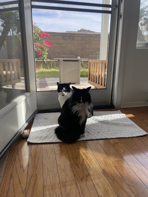 My morning 💕💕 https://t.co/SLdz7hU2L1