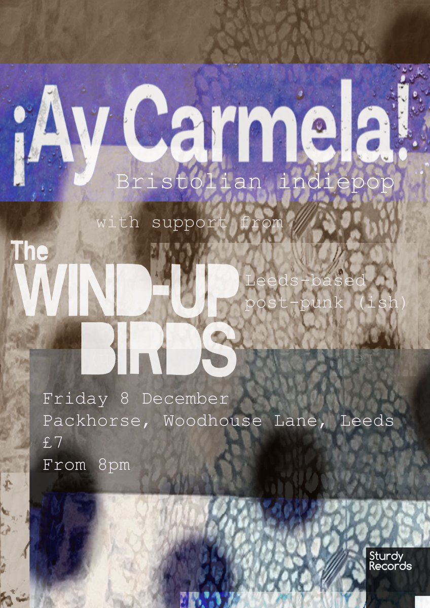 SturdyRecords's tweet image. Ace gig at The Packhorse in a couple of weeks: @aycarmelaband bringing wistful indiepop beauty all the way from flipping Bristol, and @thewindupbirds with their last gig of the year. Tickets: wegottickets.com/event/599022