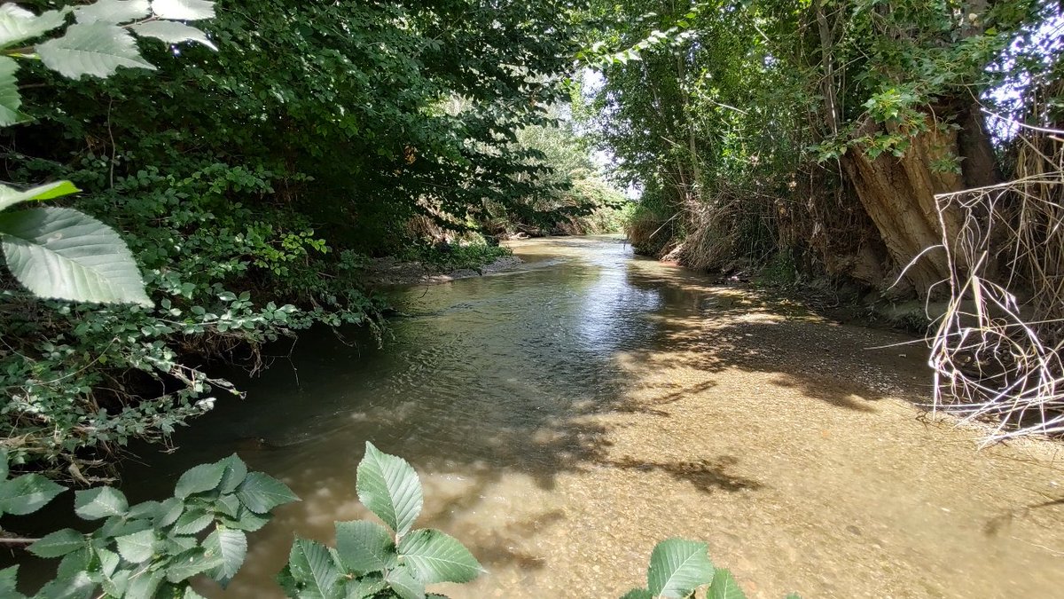 GESNA, Estudis Ambientals tweet media