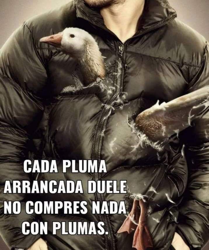 Moisés Silvestre (@moi6ito91) on Twitter photo 
