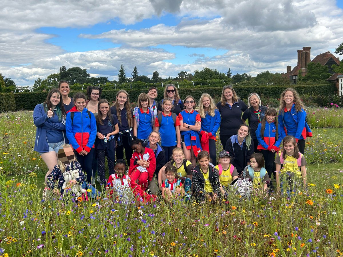 Girlguiding Hambledon District tweet media