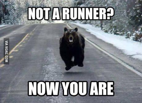 ClassicRokker's tweet image. #SundaysAreFor
Starting new hobbies 🏃 🏃 🏃