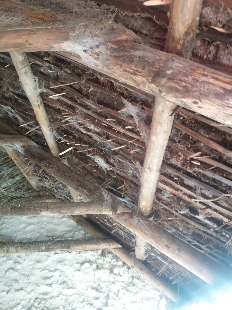 thatchertaggart's tweet image. Another fine example of an authentic #Scraw Sod underlay below #Thatch @folkparkomagh @citbni @ufm_cultra @UlsterMuseum #HEDNI should pay your cottage a visit to see what real Irish built heritage looks like instead of the Hedge Hog recreations they're show casing @HeritageFundUK