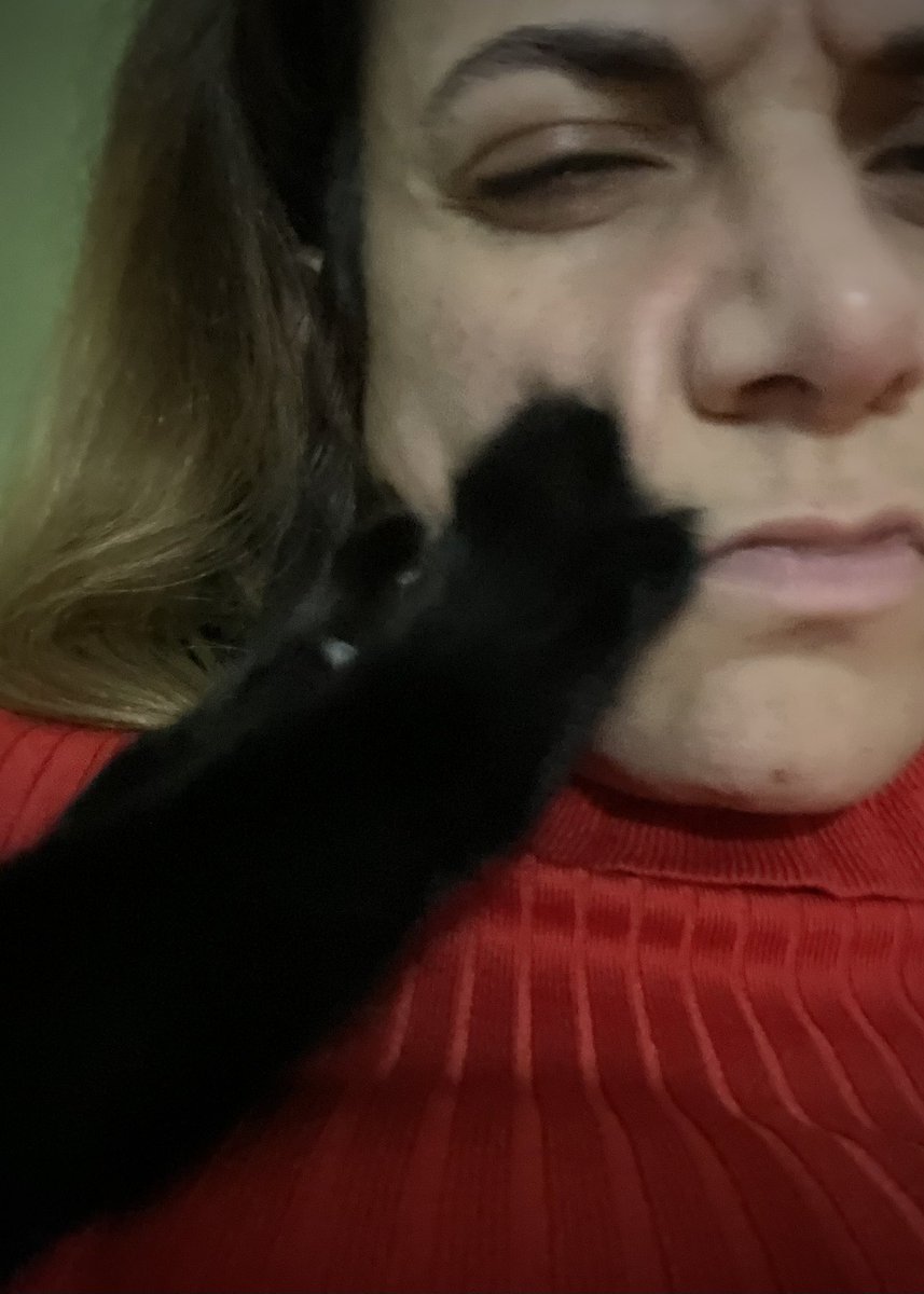 Joana Ramos (@joana_random) on Twitter photo 