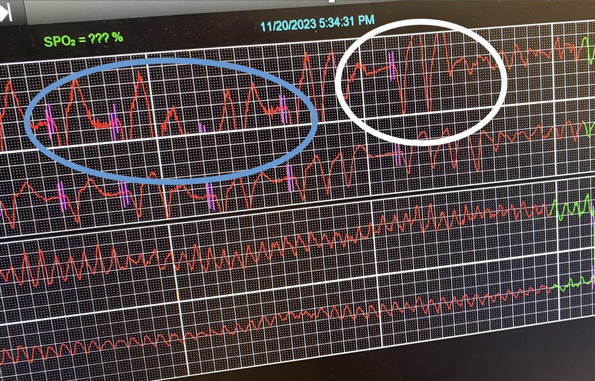 Umair Khalid tweet media