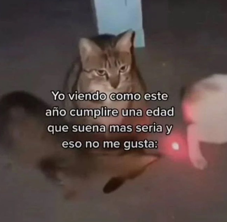 piña sin pizza (@skereunpesado) on Twitter photo 