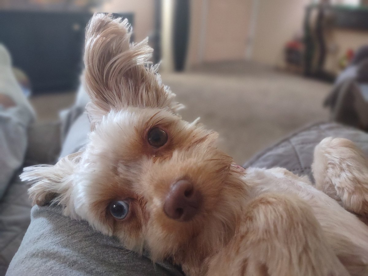 Ebeneser Tends tweet media