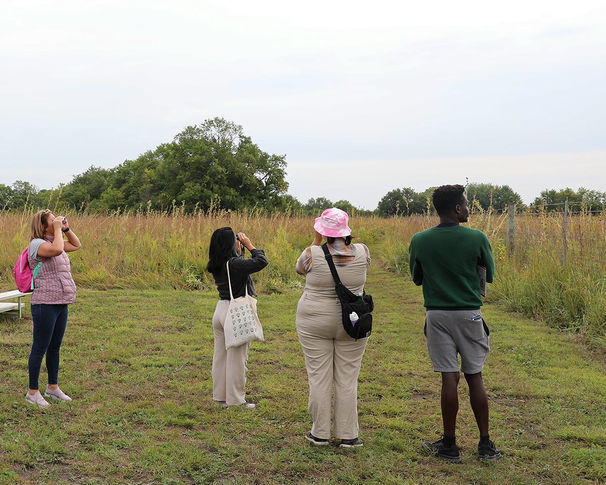 Openlands tweet media