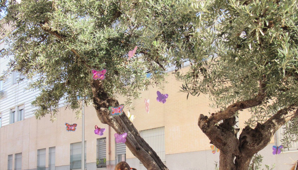 RedVVKFeminista's tweet photo. Estas mariposas pintadas por las peques del barrio poco a poci fueron inundando el olivo, simbolo del movimiento feminista del distrito https://t.co/rPcInVDUxR