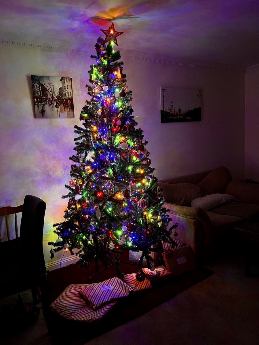 sophiassocials's tweet photo. One of my goals after leaving foster care was to one day have my own full size Christmas tree.

But every year they were too expensive.

This year, for the first time, I’ve been able to afford a 7.5ft Christmas tree. It may seem silly to some, but it means the world to me ❤️🎄 https://t.co/bdRzNILhyv