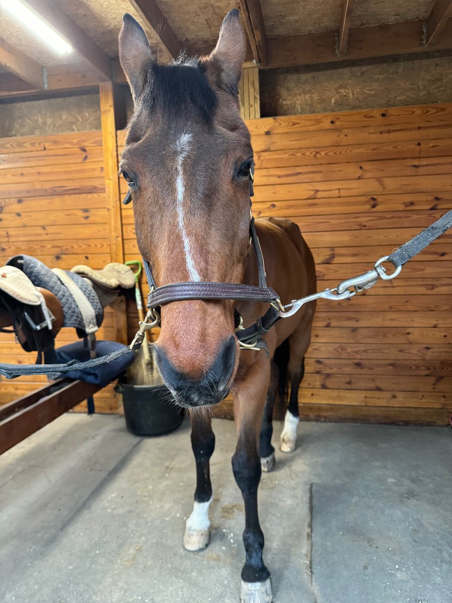 turn_the_paiige tweet media