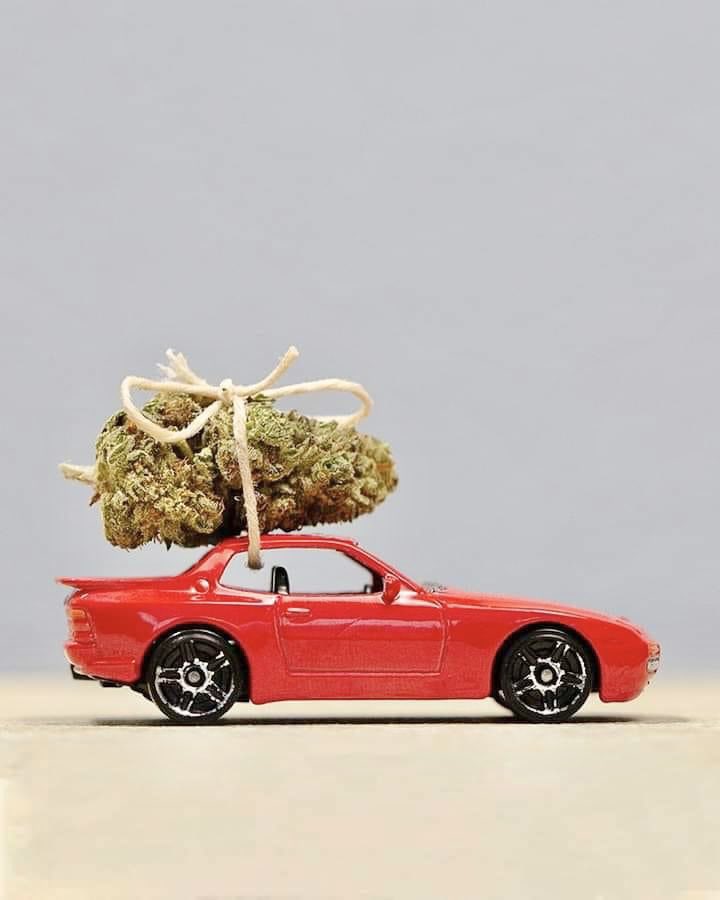 Got my Christmas tree! 🎄