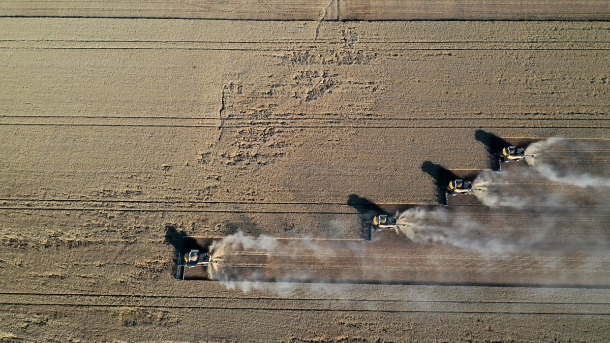 Metiéndole a la trilla de trigo <a href="/ssg1904/">Santiago Saint Girons 🇺🇾🇺🇾</a> <a href="/ErroJuanma/">Juanma Erro</a> #cosecha #campo #agricultura