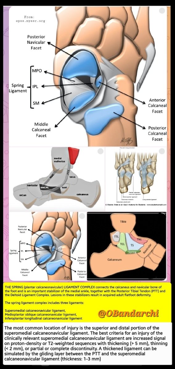 Dr. OMID BANDARCHI tweet media