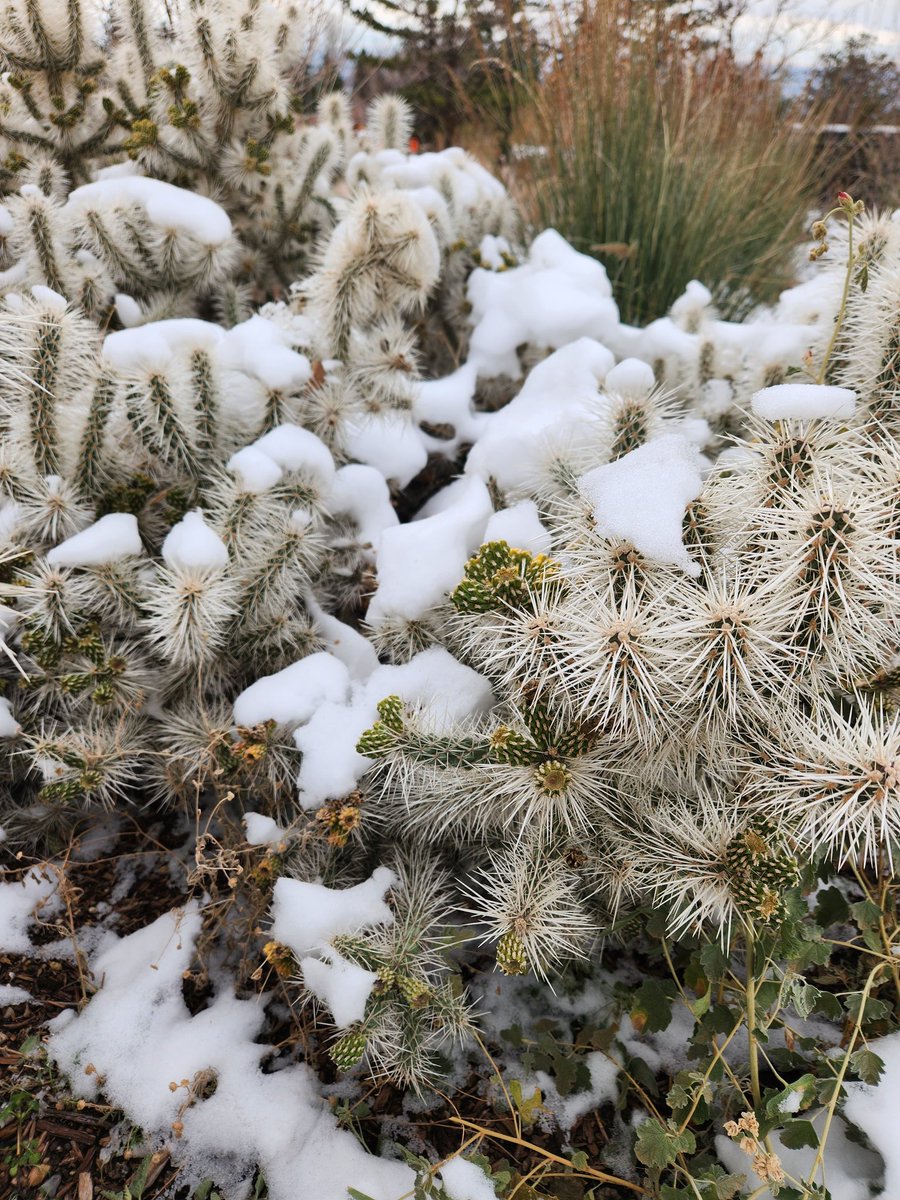 Lovely walk @redbuttegarden this afternoon.