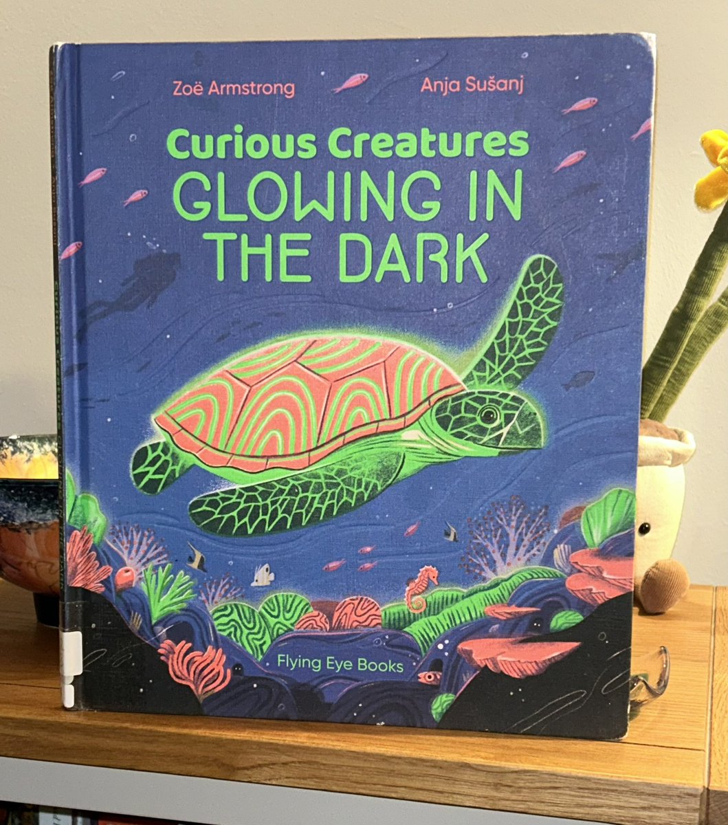 Our latest #NNFN2023 read borrowed from our #library. Really fascinating and lots of new discoveries made. @FlyingEyeBooks have some cracking books on their catalogue. Absolutely loving this beauty! @MsZoeArmstrong @anjasusanjdraws