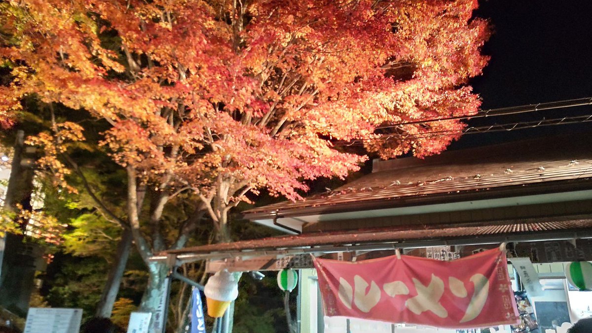 Hibi_JBGroup's tweet photo. 紅葉が見頃ときいて　#大山　へ
ライトアップされた紅葉と夜景を楽しんできました🍁
しかし帰り道、家族に"ルーメソ"の呪文をかけられ、もうそうにしか見えなくなってしまいました🍜 https://t.co/84XQhDdwhq