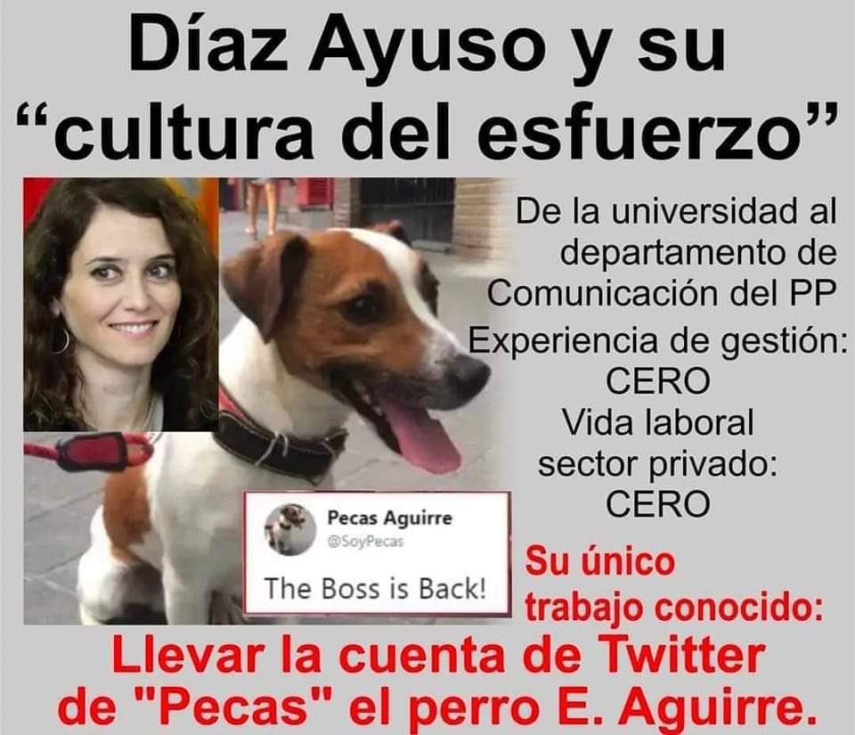 Gurutxe1's tweet image. 🤣🤣🤣🤣🤣🤣🤣🤣🤣🤣🤣🤣🤣🤣🤣🤣🤣🤣