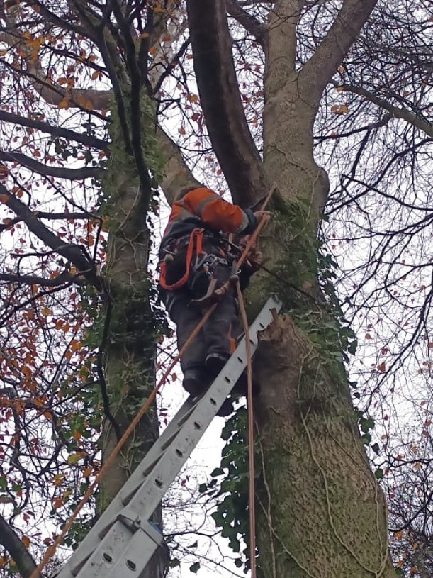 Tramore Eco Group tweet media