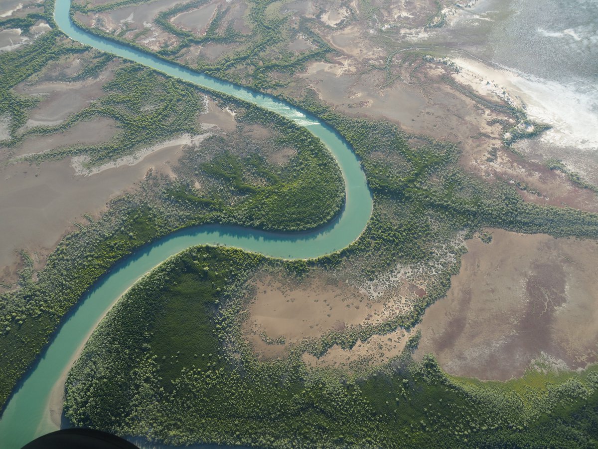 Trisha Fielding tweet media