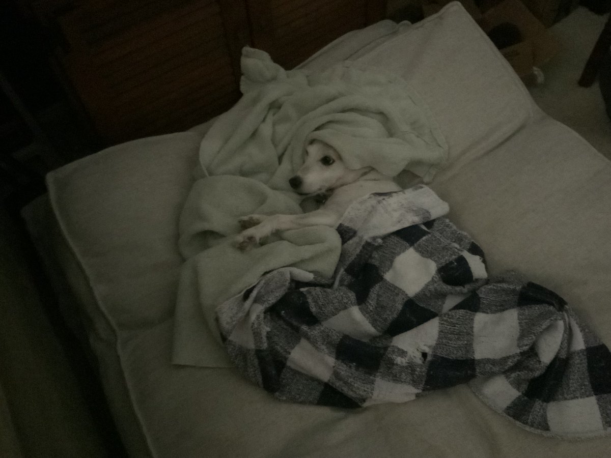 Fletcher was in no hurry to get out of bed this morning.