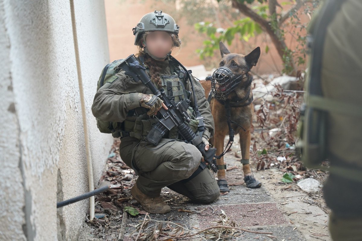 IDF's tweet photo. Man's best friend is busy on the battlefield, saving lives.

Specially trained dogs play an essential role in the IDF's operational activities inside Gaza, assisting in locating explosive materials.

Approximately 50 booby-trapped explosive devices and dozens of weapons stockpiles were located by Oketz (K-9) Unit fighters and dogs prior to the operational pause.

Sadly, four dogs that fought alongside the troops were killed in combat while defending the soldiers in Gaza. They will be buried in the unit’s cemetery.
