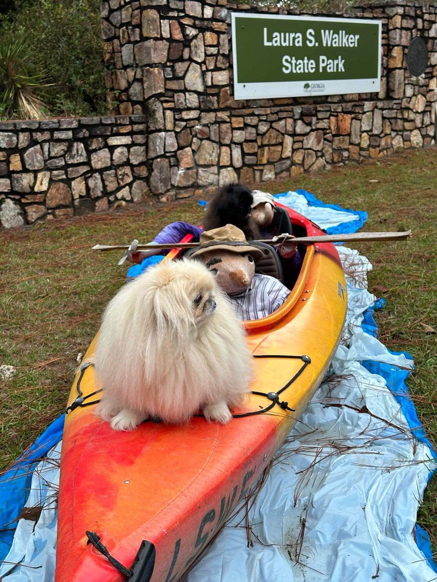 LilCaliGurl's tweet photo. #LauraSWalker #statepark in #WaycrossGa Last spot on our trabbels and all we hab to say as you can tell frum our faces iz oh my gourd, get us home. #ohmygourd  
.
.

#caligurl #BigAl #flamingler #BigAll  #rollingrenegade   #campingwithdogs  #rvtravels #fyp #fypシ゚ #gourd #gourds https://t.co/c1xThhWmzi