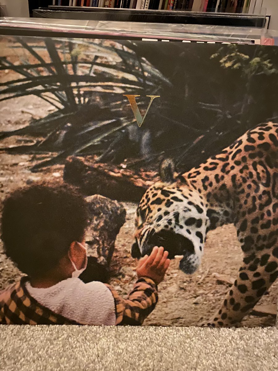 Myrealname1sMark tweet media