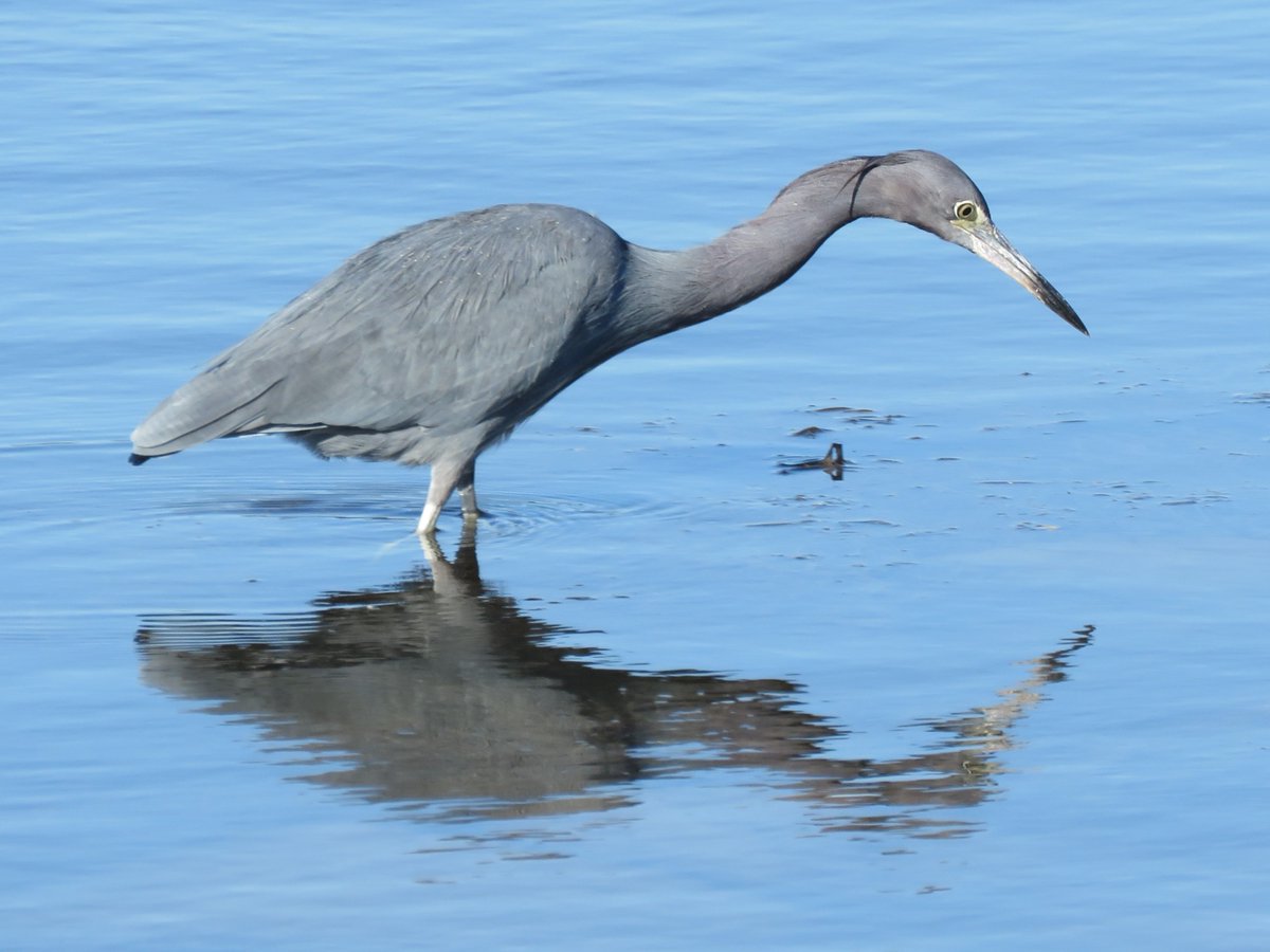 SK Winnicki, PhD tweet media