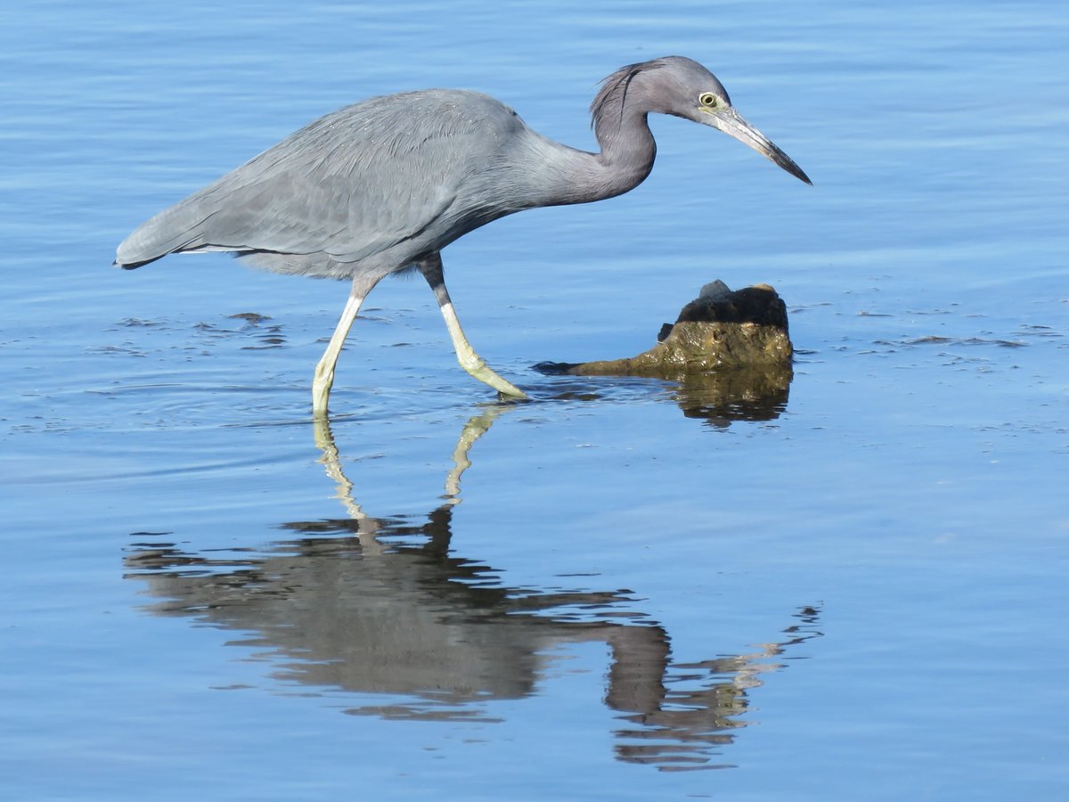 SK Winnicki, PhD tweet media