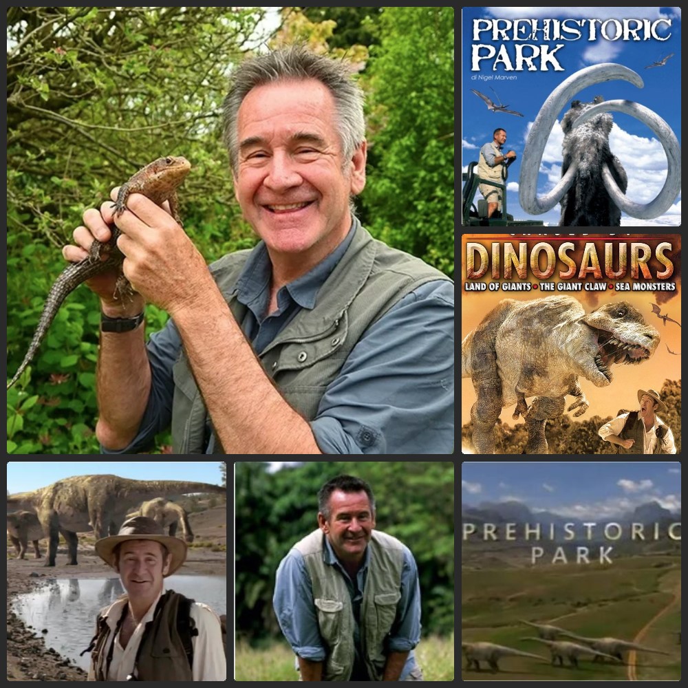 Skipper Janský tweet media